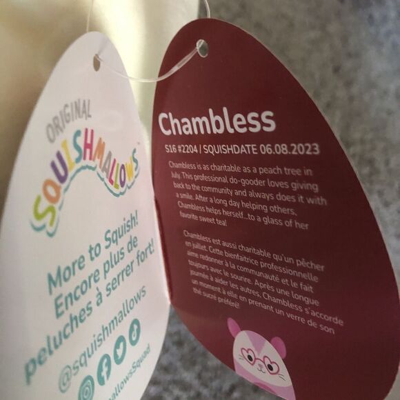 NEW 2024 Squishmallow 16" Valentines CHAMBLESS THE HAMPSTER FIRST TO MARKET - Picture 7 of 12